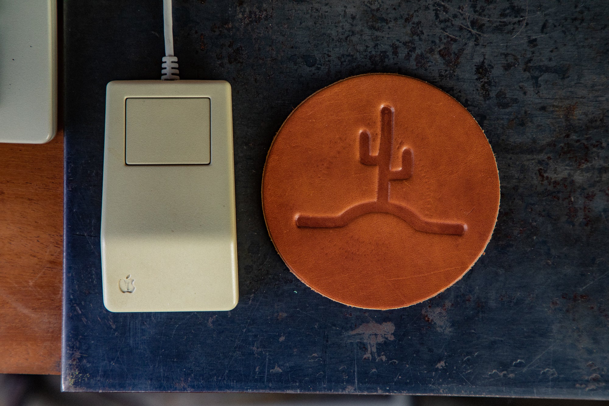 Cactus Leather Coasters